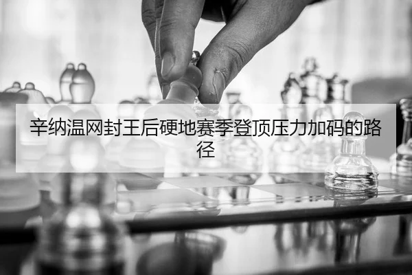 辛纳温网封王后硬地赛季登顶压力加码的路径